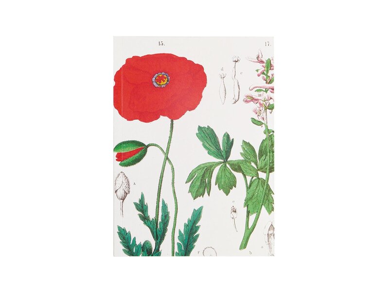 Écriture collée, A5,   Coquelicot, Hortus Botanicus