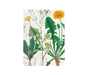 Glued Exercise book , A5,Dandelion , Hortus Botanicus
