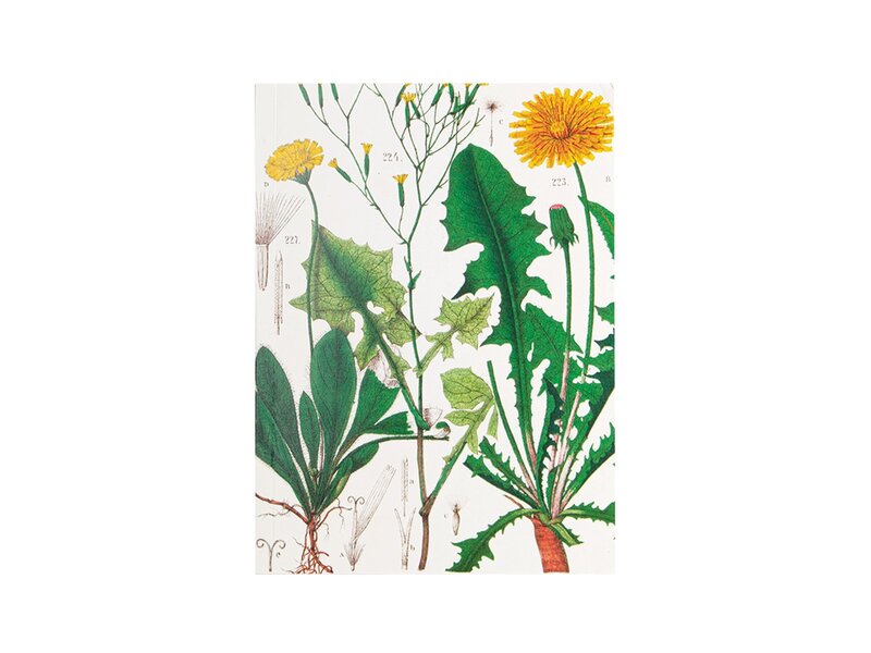 Geklebte Heft, A5,Löwenzahn, Hortus Botanicus