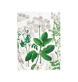 Schrift, gelijmd,  A5,  Zevenblad, Hortus Botanicus