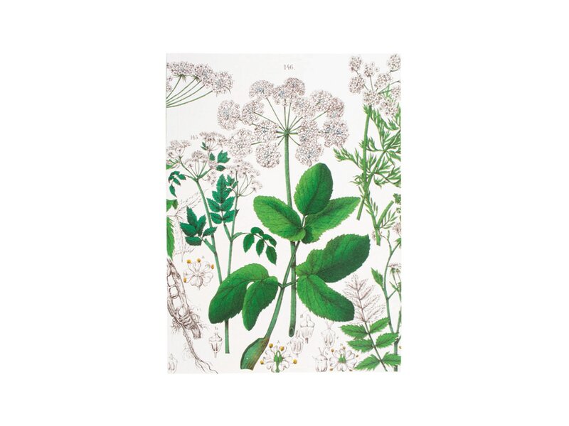 Schrift, gelijmd,  A5,  Zevenblad, Hortus Botanicus