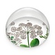 Presse-papier en verre Sureau, Hortus Botanicus