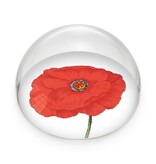 Glass Dome/Paperweight,  Poppy, Hortus Botanicus Glass Dome/Paperweight,  Poppy, Hortus Botanicus