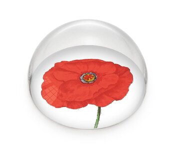 Glaskuppeln/Briefbeschwerer, Mohn, Hortus Botanicus