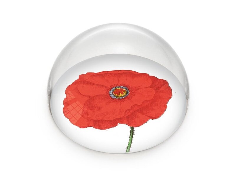 Glass Dome/Paperweight,  Poppy, Hortus Botanicus