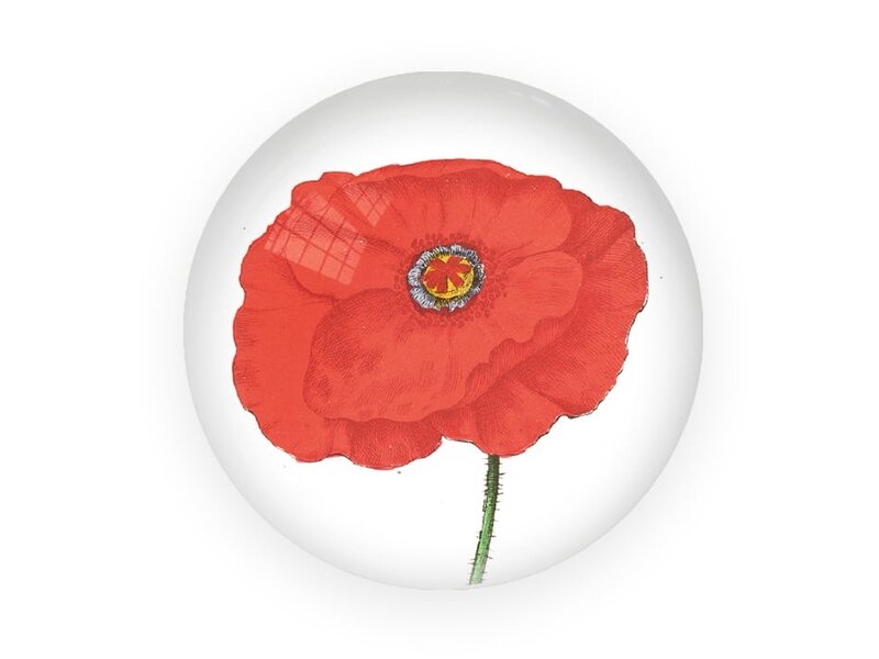 Presse-papier en verre, Coquelicot, Hortus Botanicus