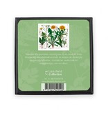 Gold plated earrings with glittering crystal stones, Dandelion