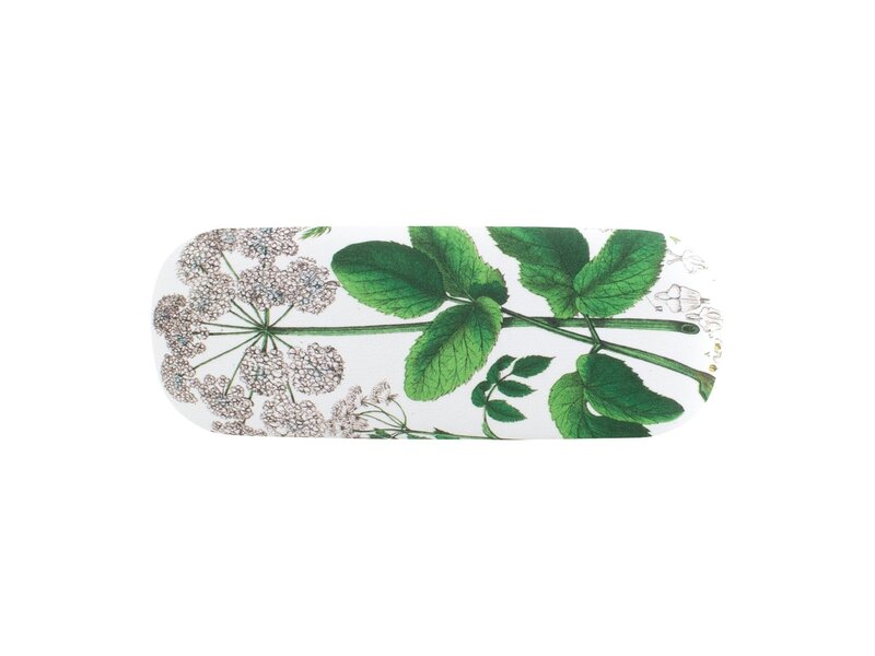 Spectacle Case,Hortus Botanicus