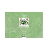 Sleeping mask, Elderberry, Hortus Botanicus