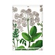 Koelkastmagneet, Zevenblad, Hortus Botanicus