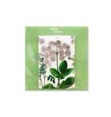 Kühlschrankmagnet, Holunderblatt, Hortus Botanicus