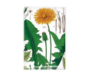 Imán de nevera, Diente de león, Hortus Botanicus