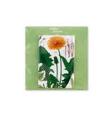 Fridge Magnet, Dandelion , Hortus Botanicus Fridge Magnet, Dandelion , Hortus Botanicus