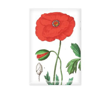 Imán de nevera, Amapola, Hortus Botanicus