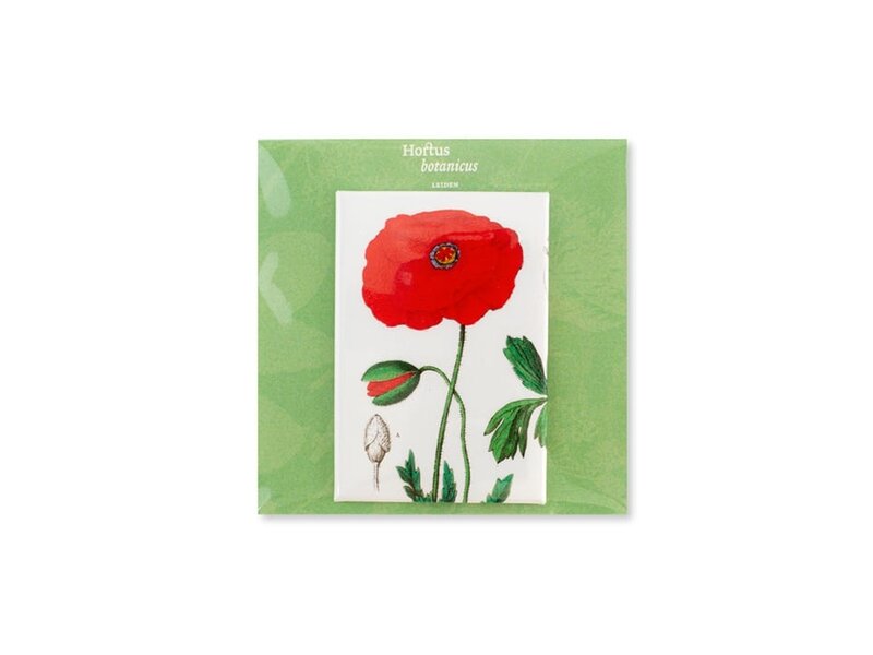 Magnet pour frigo,   Coquelicot, Hortus Botanicus