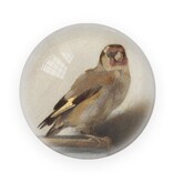 Glass Dome/Paperweight, Goldfinch, Carel Fabritius