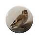 Espejo de bolsillo,  Ø 80 mm, El jilguero, Carel Fabritius