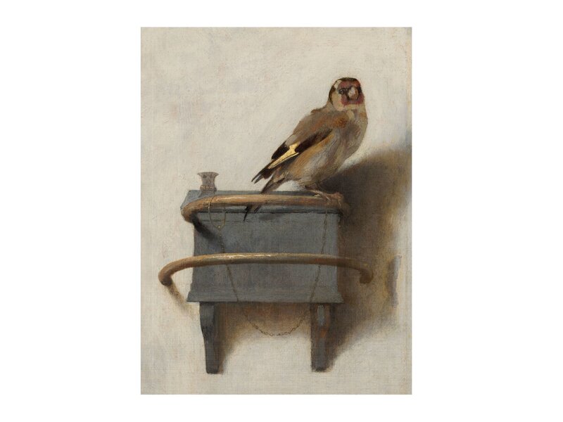 Cahier d'artiste,Le Chardonneret, Carel Fabritius