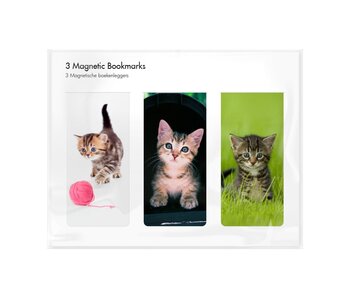 Set van 3, Magnetische boekenleggers , Kittens
