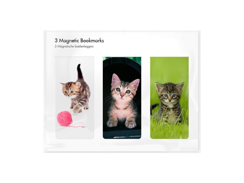 Set van 3, Magnetische boekenleggers , Poesjes