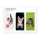Set van 3, Magnetische boekenleggers , Kittens