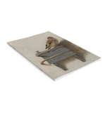 Libro de ejercicios, A5,  El jilguero, Carel Fabritius