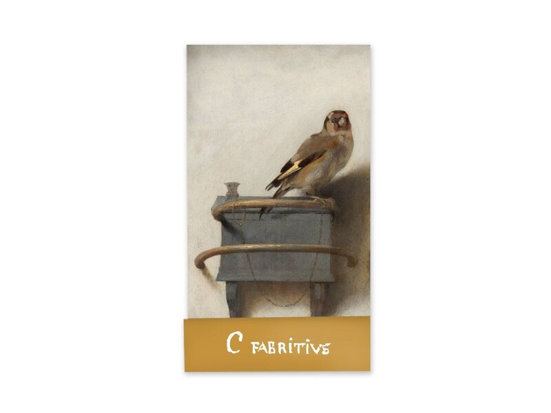 Gogonote, El jilguero, Carel Fabritius