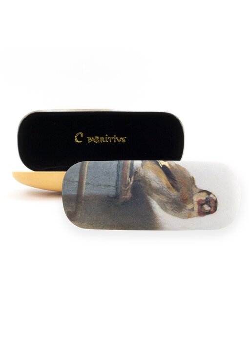 Spectacle Case, Goldfinch, Carel Fabritius
