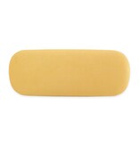 Étui à lunettes,  Le Chardonneret, Carel Fabritius