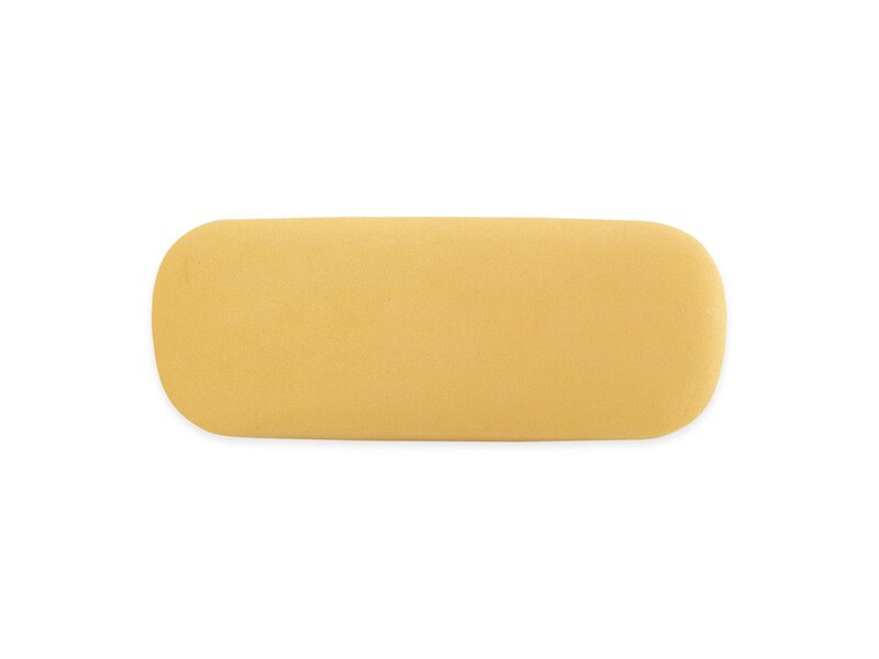 Étui à lunettes,  Le Chardonneret, Carel Fabritius