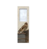 Lesezeichen mit Lupe, Carel Fabritius, Der Stieglitz