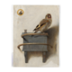 Mini  Poster A3,  El jilguero, Carel Fabritius