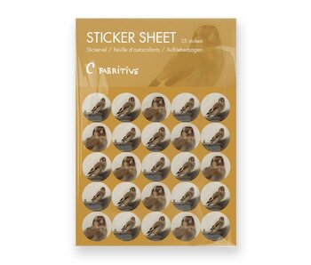 Stickervel, Puttertje, Carel Facritius