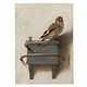 Poster 50x70 cm,  Carel Fabritius, Het Puttertje