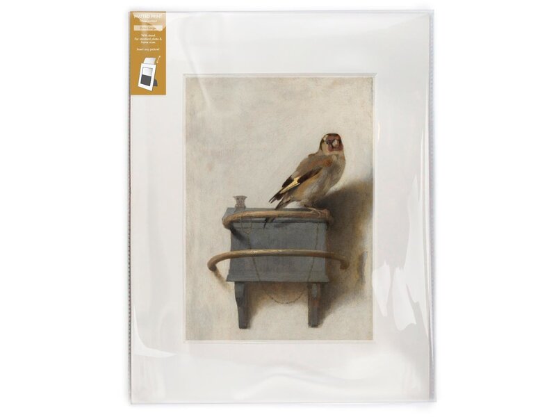 Passe-partout, XL,40 x 30 cm,  Carel Fabritius, Het Puttertje