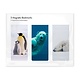 Lot de 3, signets magnétiques, Arctique