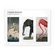 Set van 3, Magnetische boekenleggers , Dieren tekeningen