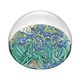 Glass Dome,  Irises, Vincent van Gogh
