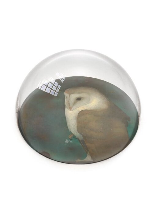 Glass Dome,   Jan Mankes, Owl