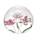 Paperweight,  Tulips, Merian