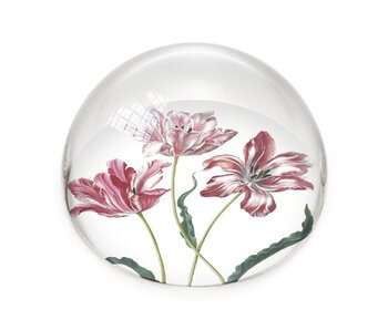 Briefbeschwerer,  Tulpen, Merian