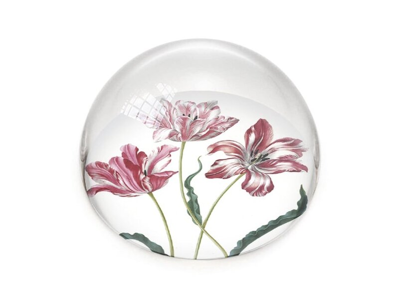 Paperweight,  Tulips, Merian