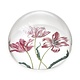 Briefbeschwerer,  Tulpen, Merian