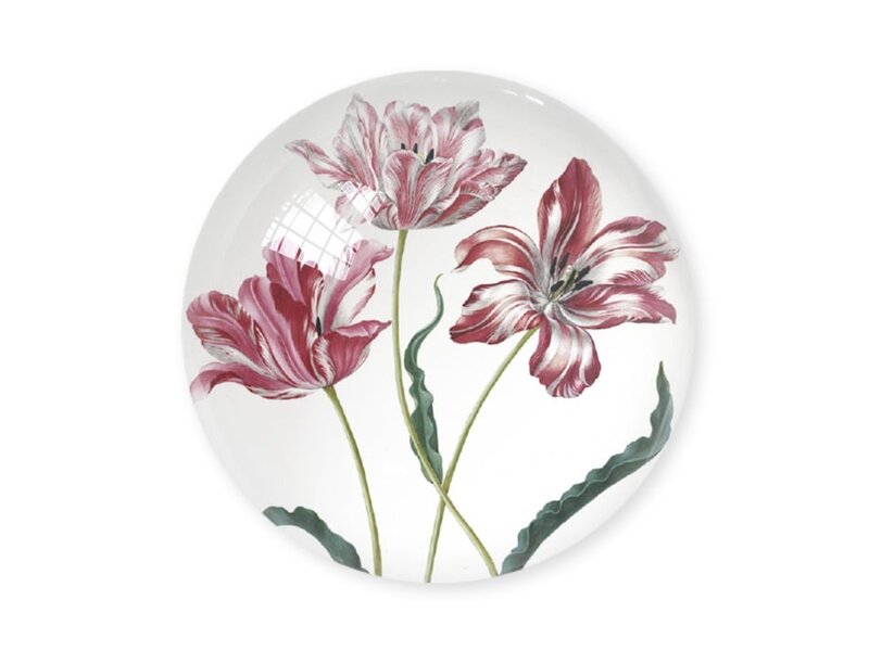 Paperweight,  Tulips, Merian