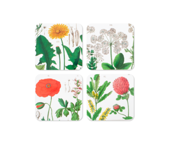 Untersetzer, 4er-Set, Hortus Botanicus
