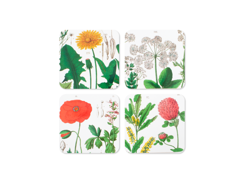 Coasters, set of 4, Hortus Botanicus