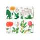 Coasters, set of 4, Hortus Botanicus