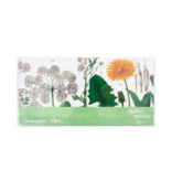 Untersetzer, 4er-Set, Hortus Botanicus