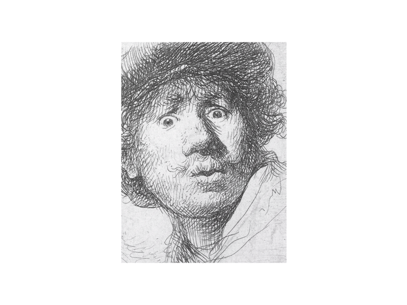 Diario del artista, Rembrandt, cara curiosa