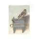 Funda portadocumentos, A4,  Fabritius, el jilguero
